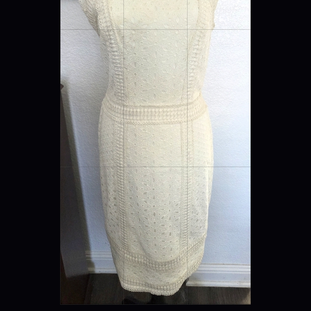 Tadashi Shoji Cream Lace Midi Sheath Dress